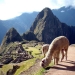 Perú Cuzco